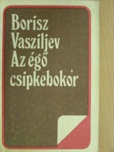 Borisz Vasziljev - Az égő csipkebokor [antikvár]