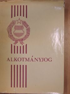 Dr. Bajáki Veronika - Magyar alkotmányjog [antikvár]