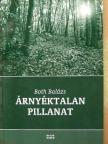 Both Balázs - Árnyéktalan pillanat [antikvár]