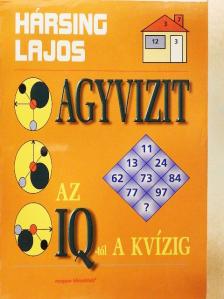 Hársing Lajos - Agyvizit [antikvár]