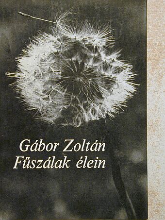 Gábor Zoltán - Fűszálak élein [antikvár]