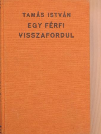 Tamás István - Egy férfi visszafordul [antikvár]