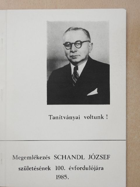Ádám Tamás - Tanítványai voltunk! [antikvár]