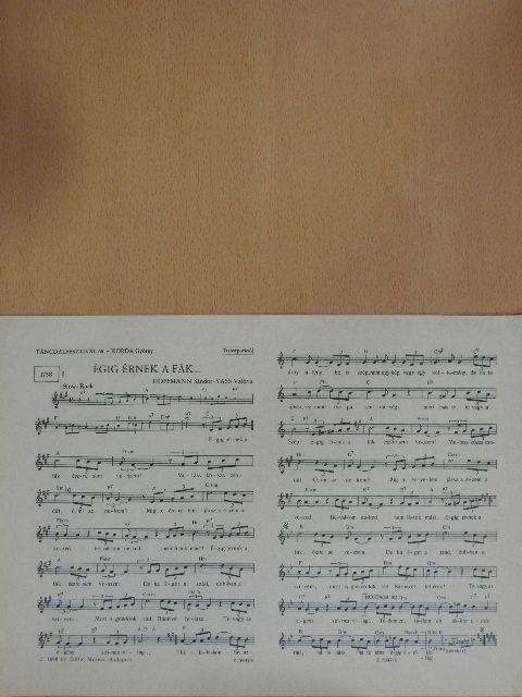 Hoffmann Sándor - Égig érnek a fák... [antikvár]