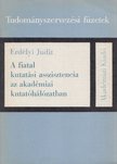 Erdélyi Judit - A fiatal kutatási asszisztencia az akadémiai kutatóhálózatban [antikvár]