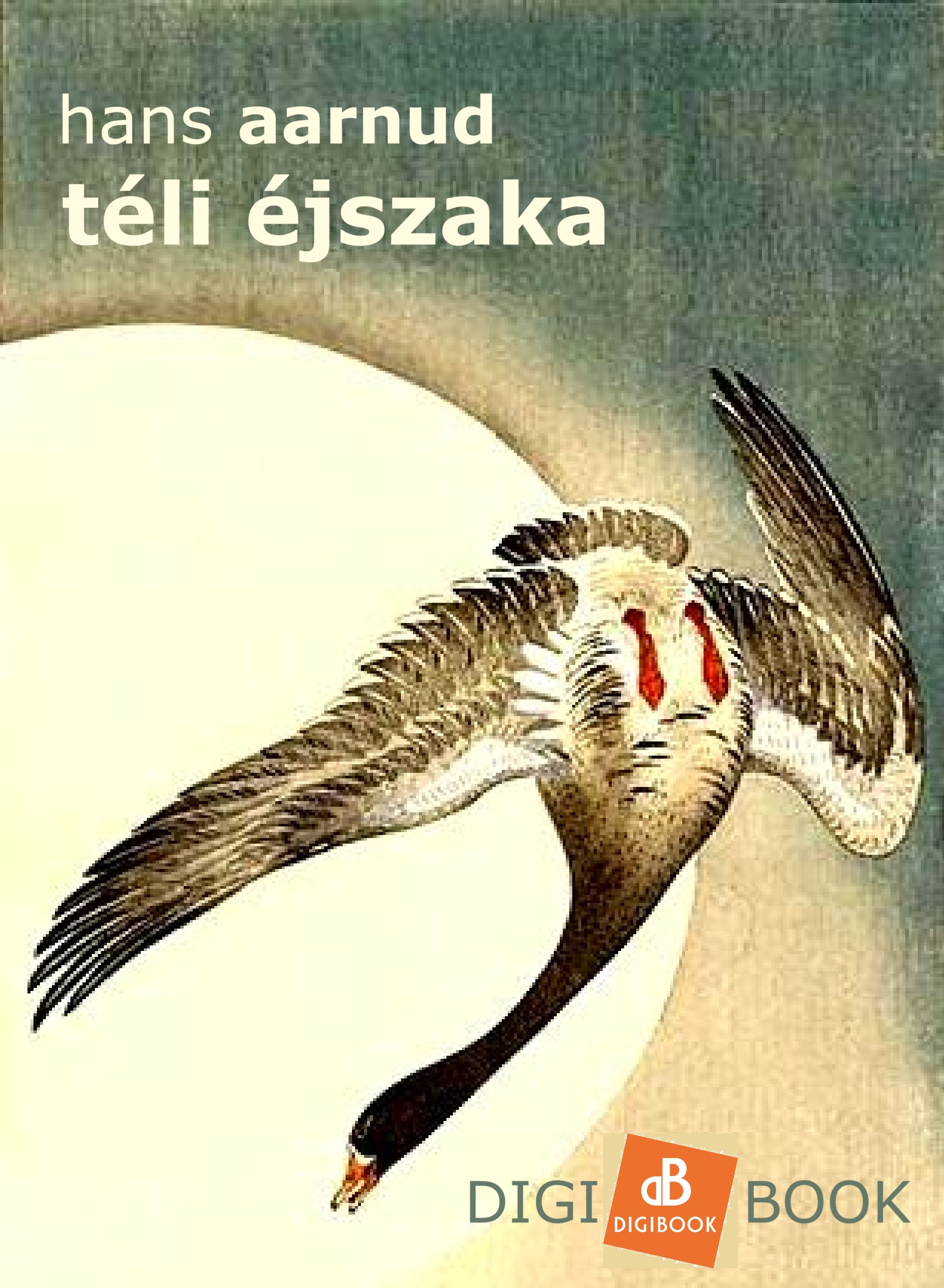 Hans Aanrud - Téli éjszaka [eKönyv: epub, mobi]