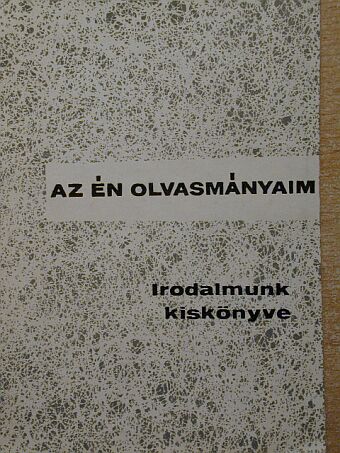 Ács Károly - Irodalmunk kiskönyve [antikvár]