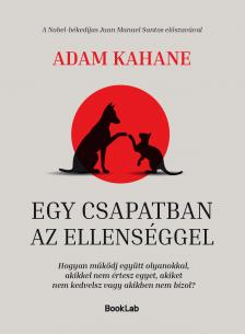 Adam Kahane - Egy csapatban az ellenséggel
