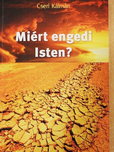 Cseri Kálmán - Miért engedi Isten? [antikvár]