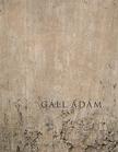 Gáll Ádám - Eltűnésmintázatok