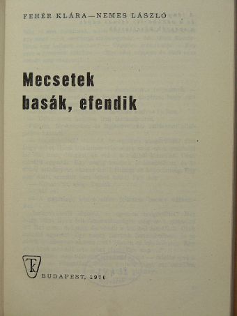 Fehér Klára - Mecsetek, basák, efendik [antikvár]