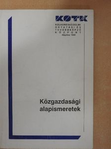 Dr. Szivi József - Közgazdasági alapismeretek [antikvár]