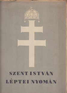 Ujházy György - Szent István léptei nyomán [antikvár]