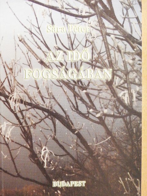 Sára Péter - Az idő fogságában [antikvár]