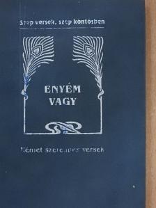 Annette von Droste-Hülshoff - Enyém vagy [antikvár]