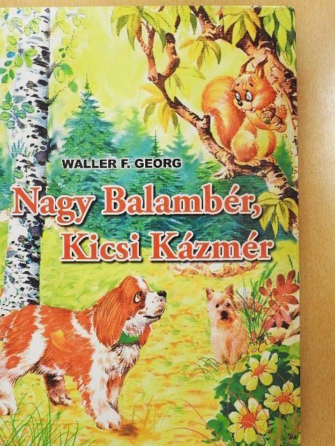 Waller F. Georg - Nagy Balambér, Kicsi Kázmér [antikvár]