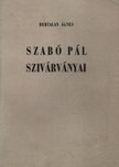 Bertalan Ágnes - Szabó Pál szivárványai [antikvár]