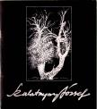 DR. D. FEHÉR ZSUZSA - Szalatnyay József [antikvár]