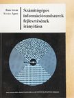 Bana István - Számítógépes információrendszerek fejlesztésének irányítása [antikvár]