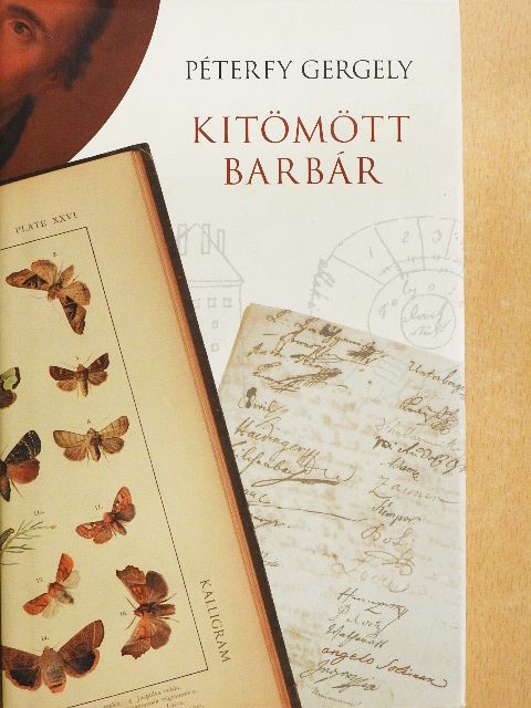 Péterfy Gergely - Kitömött barbár [antikvár]