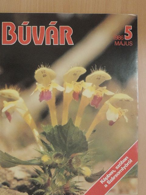 Dr. Bunyevácz József - Búvár 1986. május [antikvár]