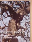 Pajor András - Ismerem tetteidet (dedikált példány) [antikvár]