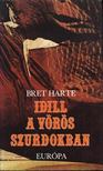 Harte, Bret - Idill a vörös szurdokban [antikvár]