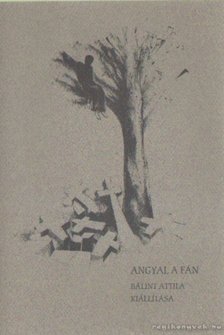 Bálint Attila - Angyal a fán [antikvár]