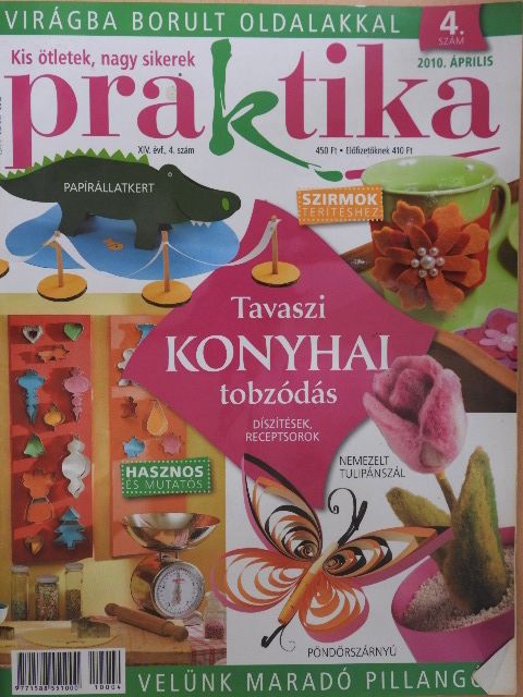 Praktika 2010. április [antikvár]
