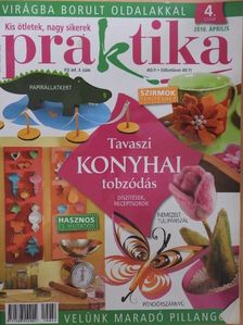 Praktika 2010. április [antikvár]