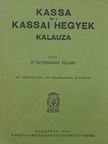 Dr. Schermann Szilárd - Kassa és a kassai hegyek kalauza [antikvár]