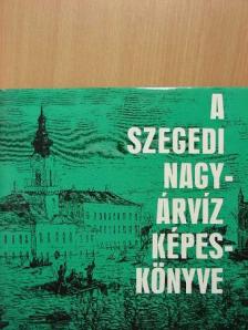 Tóth Béla - A szegedi nagyárvíz képeskönyve [antikvár]