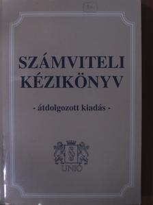 Dr. Bíró Tibor - Számviteli kézikönyv [antikvár]