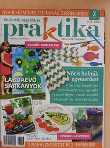 Praktika 2013. július [antikvár]