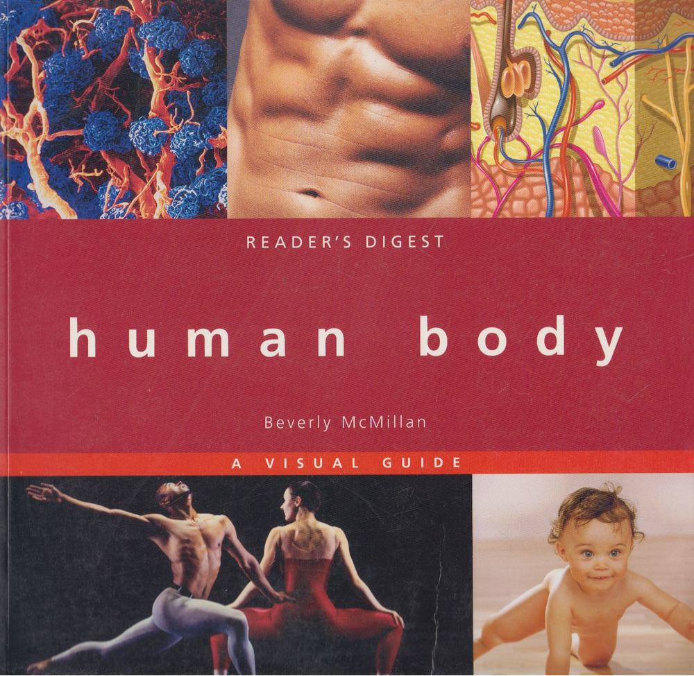 Beverly McMillan - The Human Body [antikvár]