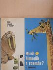 B. Zahogyer - Miről álmodik a rozmár? [antikvár]