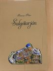 Salgótarján [antikvár]