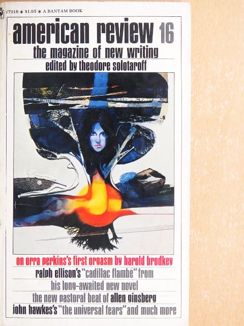 Harold Brodkey - American Review 16 [antikvár]