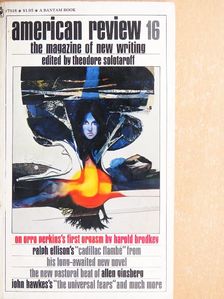 Harold Brodkey - American Review 16 [antikvár]