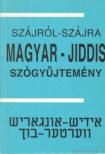 Blau Henrik, Láng Károly - Magyar-jiddis szógyűjtemény [antikvár]