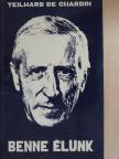 Teilhard de Chardin - Benne élünk [antikvár]