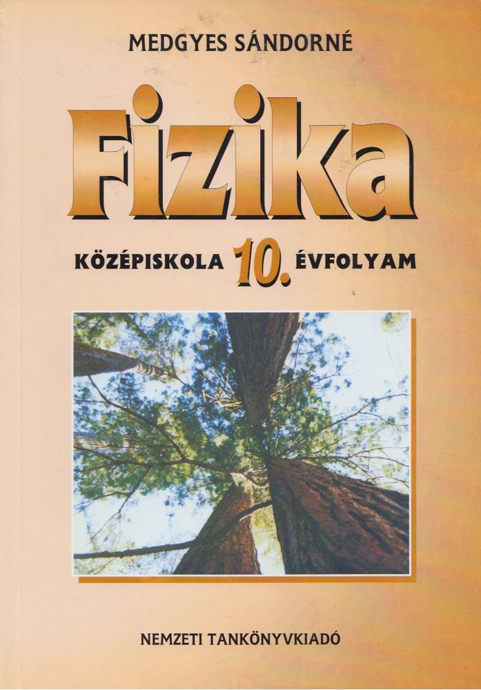 Medgyes Sándorné - Fizika 10. [antikvár]