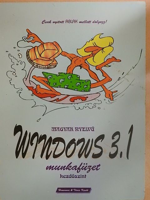 Magyar nyelvű Windows 3.1 munkafüzet [antikvár]