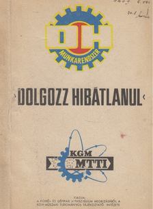 Schmidt Frigyes - "Dolgozz hibátlanul" munkarendszer [antikvár]
