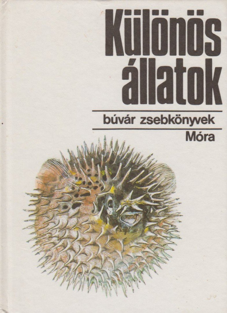 KARÁDI ILONA - Különös állatok [antikvár]