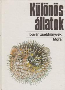 KARÁDI ILONA - Különös állatok [antikvár]