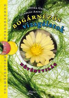 Kriska György-Gánóczy Anita - Bogárnézős vizsgálatok