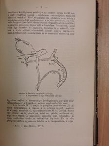Dr. Jendrássik Ernő - Közlemények 2. [antikvár]