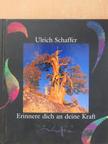 Ulrich Schaffer - Erinnere dich an deine Kraft [antikvár]