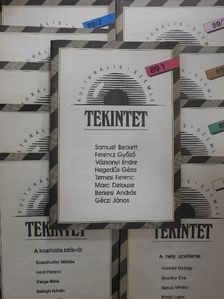 Bajomi Lázár Péter - Tekintet 1989/1-10. [antikvár]